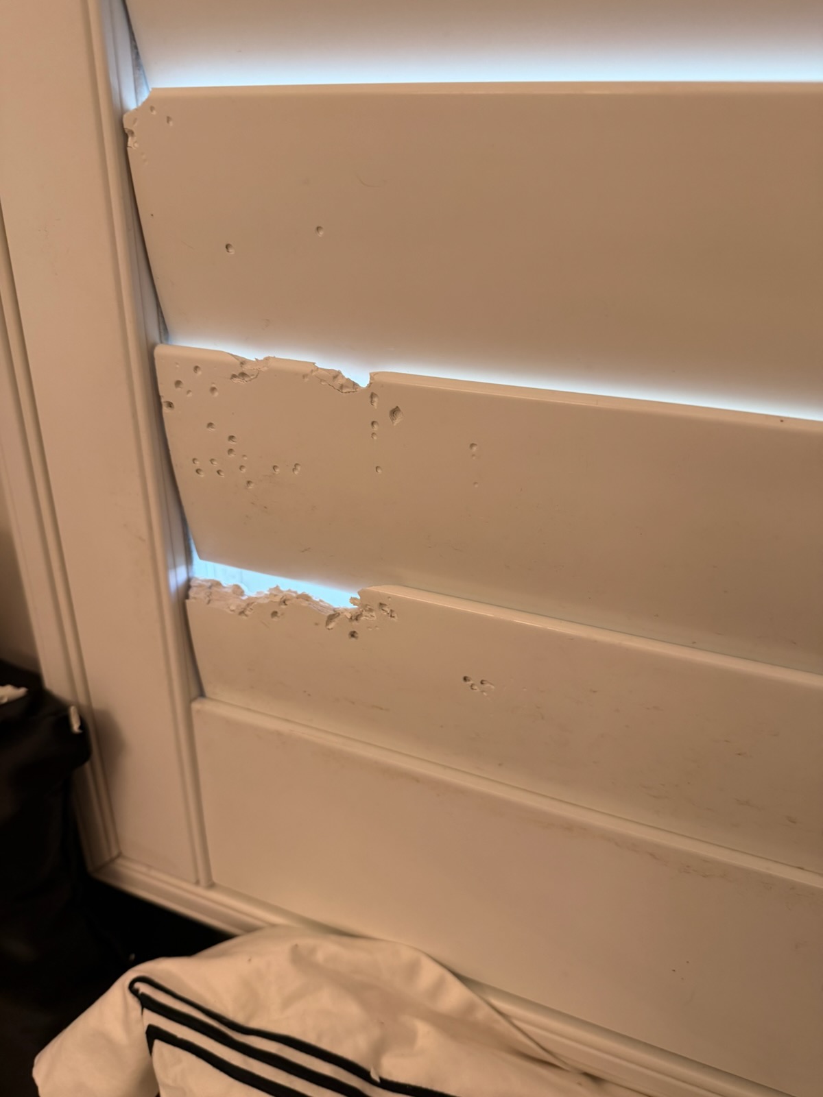 Puppy Dog Damaged My Louver Blade