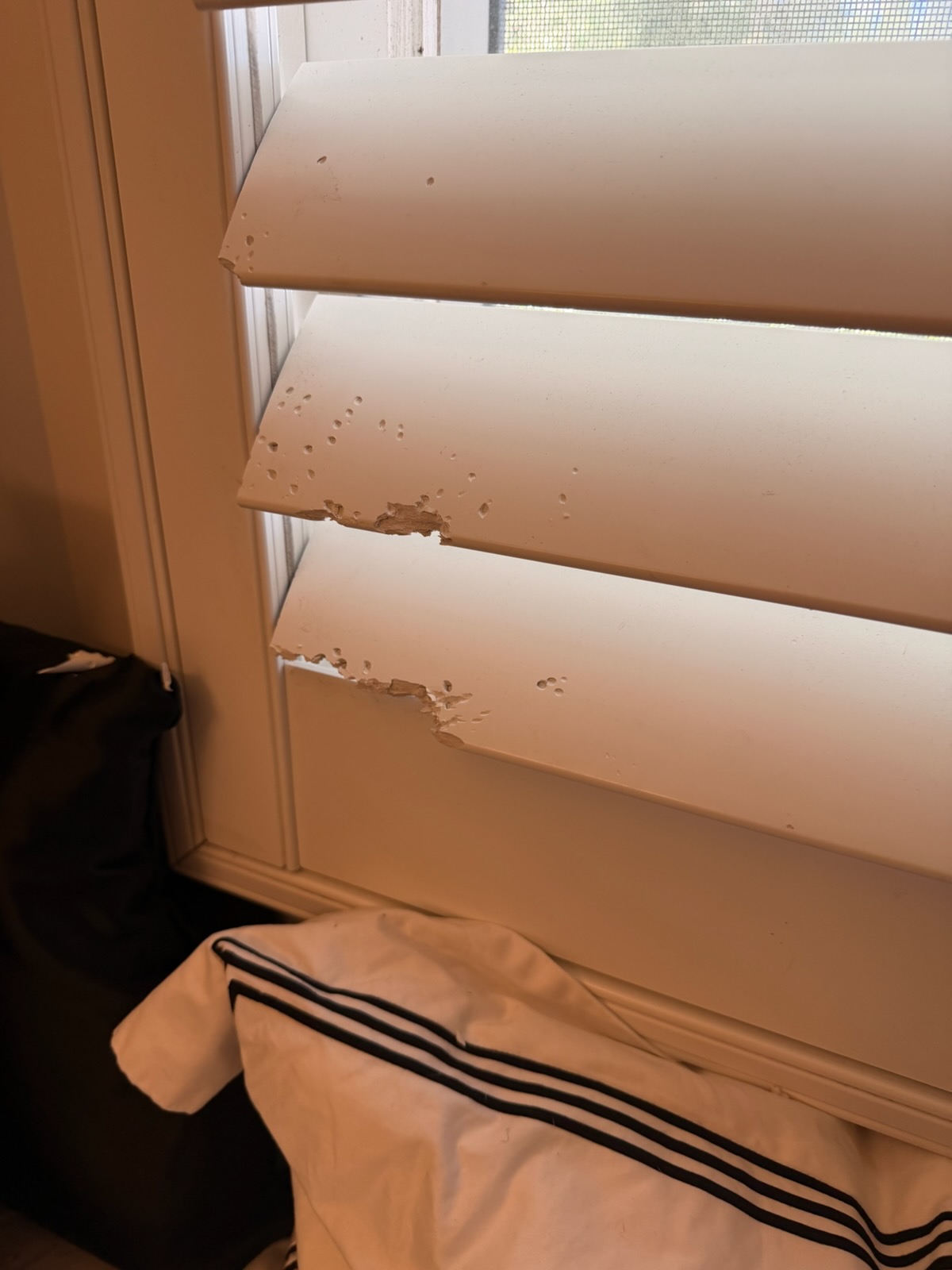 Damaged Louver Blade