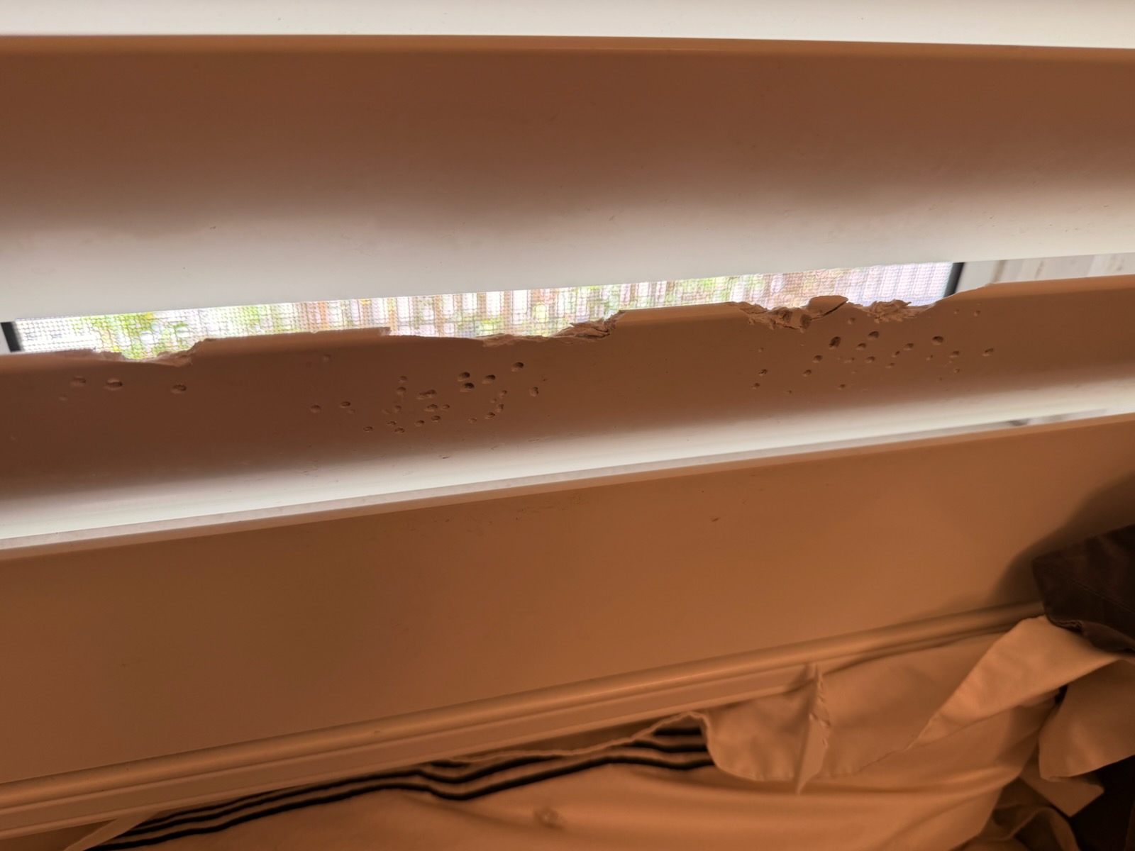 Plantation Shutter Repairs Damaged By A Dog